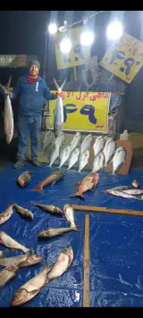 ماهی فروشی نیما