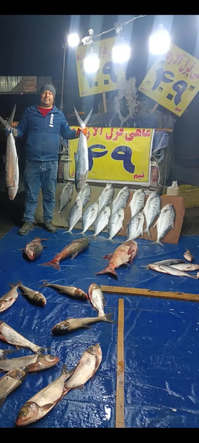 ماهی فروشی نیما