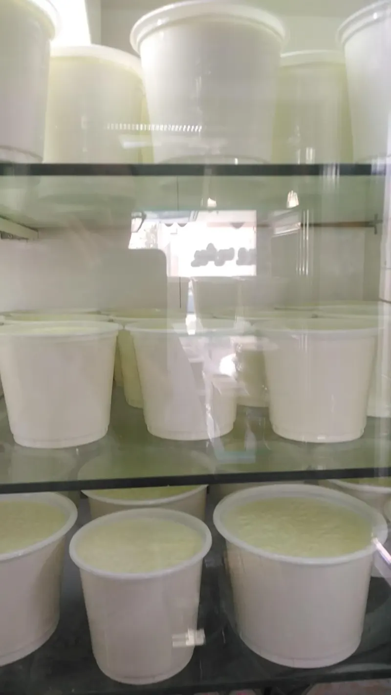 لبنیات سنتی گل نرگس