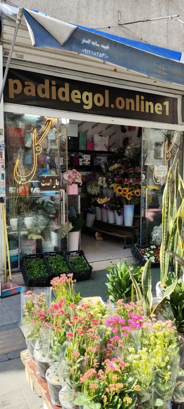 گلفروشی پدیده گل