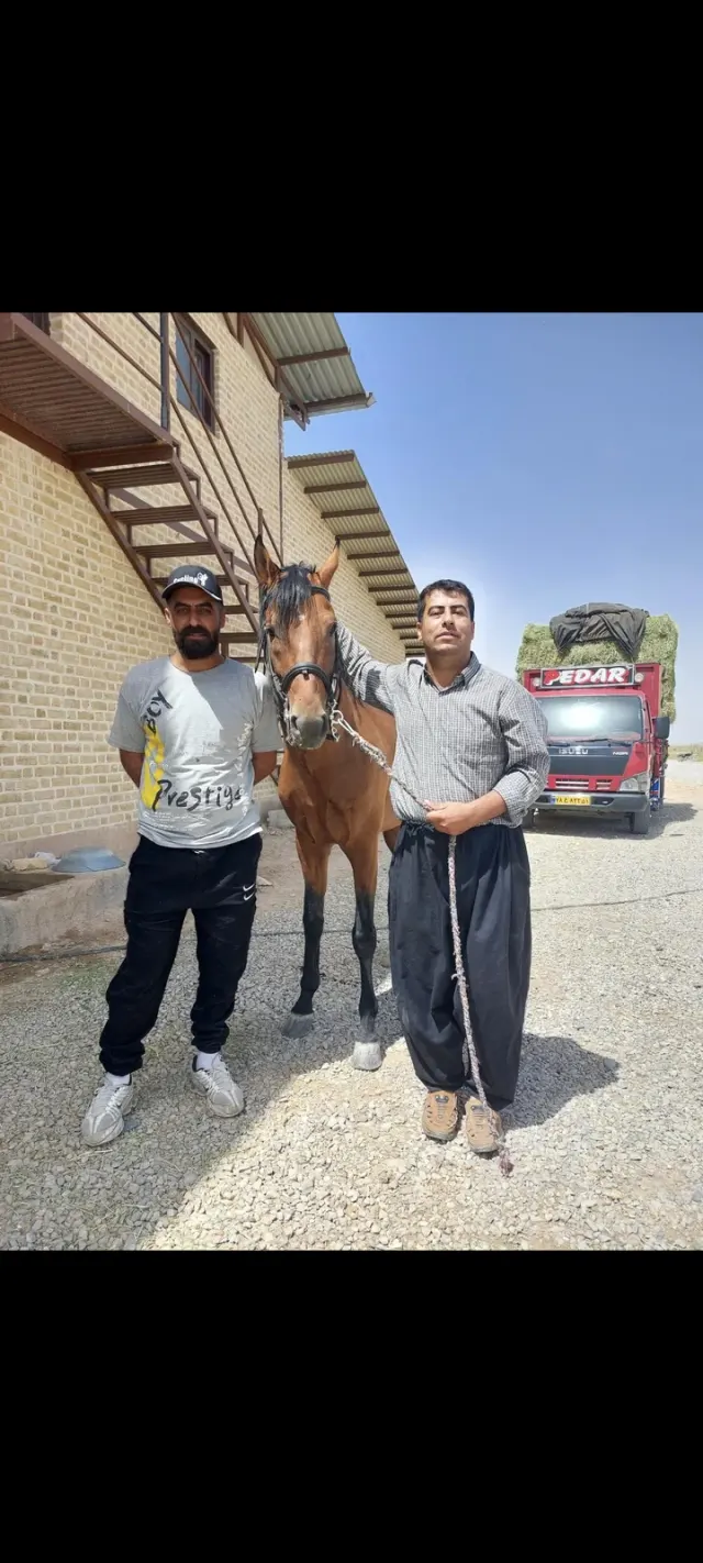 باشگاه سوارکاری و تیروکمان سمند