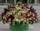 گلفروشی ارکیده