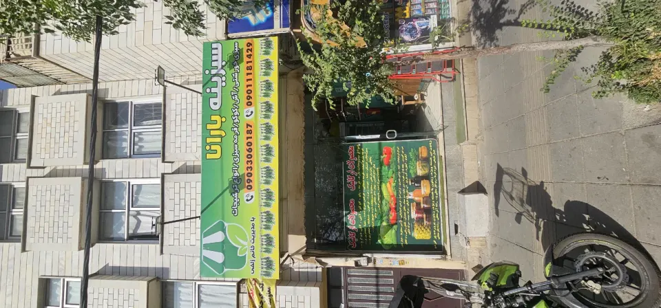 سبزینه بارانا