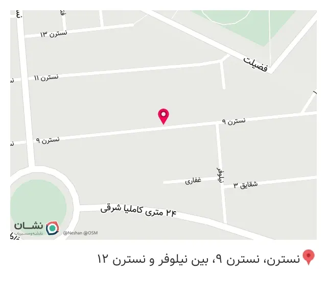 سبزی شفیعی