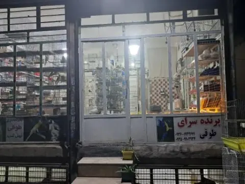 تولیدی دهقانپور