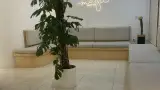 کلینیک دندانپزشکی لبخند آمل دکتر علیرضا میرزائی