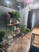 کافه مورفین