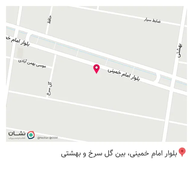 سیب بلژیکی