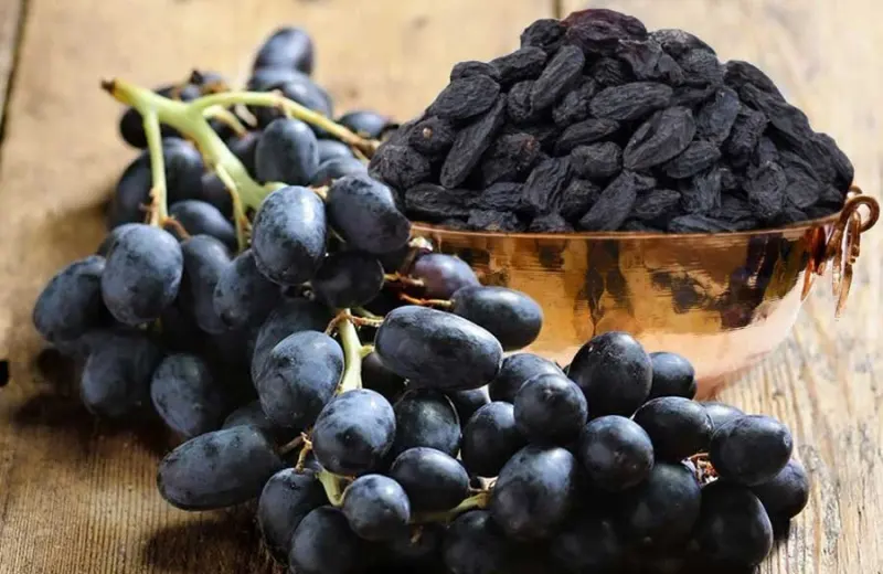مویز خشکبار مزتاک در شیراز