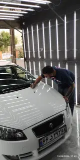 کارشناسی رنگ پیکاسو