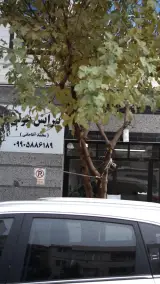 پیرایش بیوتی
