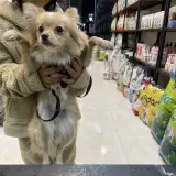 پت شاپ بیسکویت