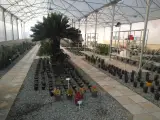 گلخانه خانوم فاطمه الزهرا (س)