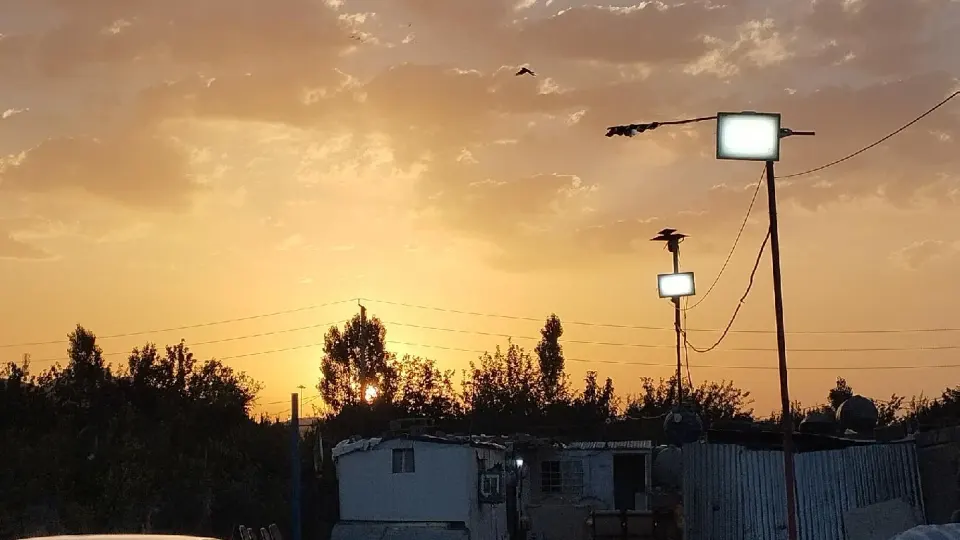 باشگاه سوار کاری آراز