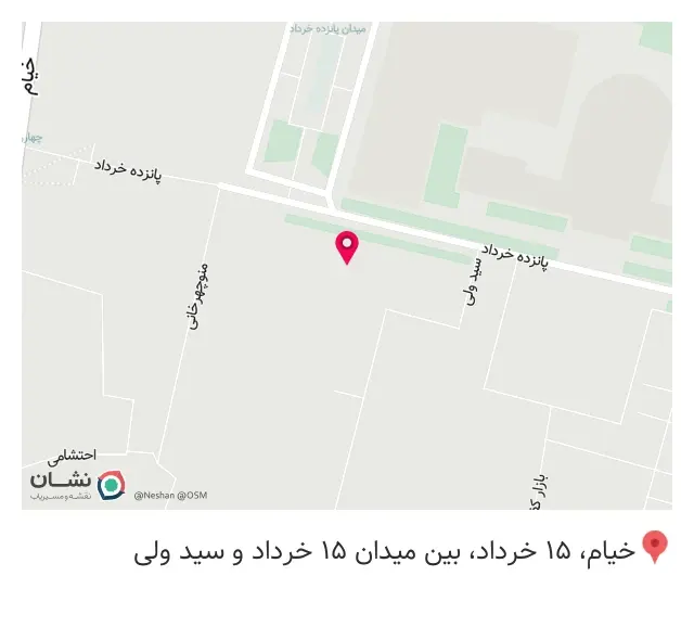 شال و روسری امیر