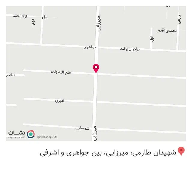 تک شاخ