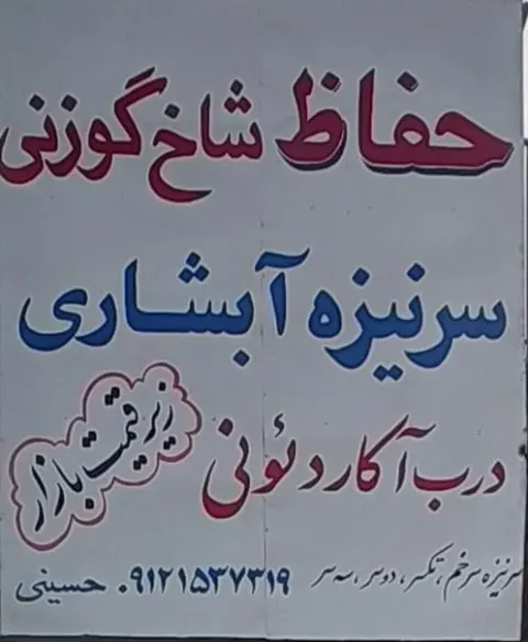 تولیدی حفاظ ساختمان ( شاخ گوزنی حسینی)