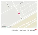 مکانیکی و جلوبندی سازی هادی