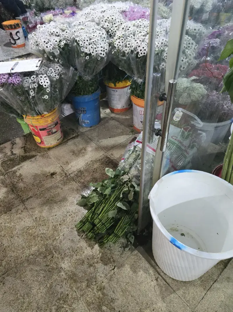 پخش گل یافت آبادی
