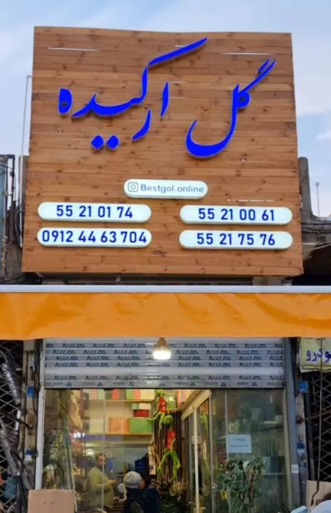 گالری گل ارکیده