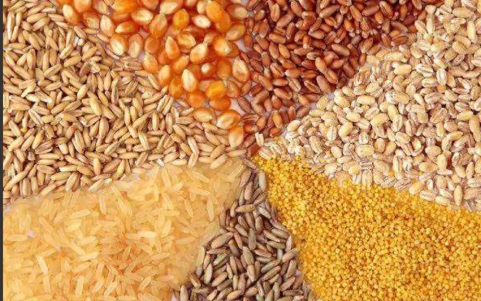 خوراک دام و طیور ایلیا