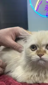 مرکز درمانی تخصصی سوده