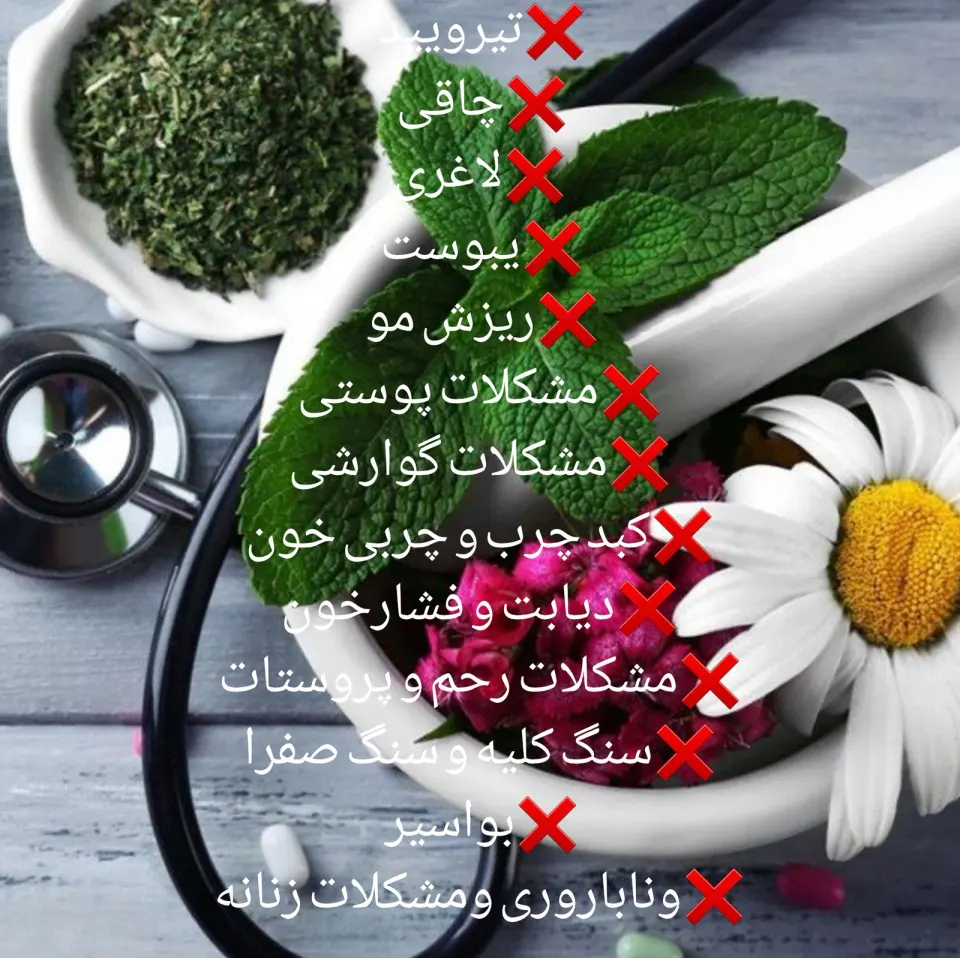 دهکده (سنتی) سلامتی مصطفوی