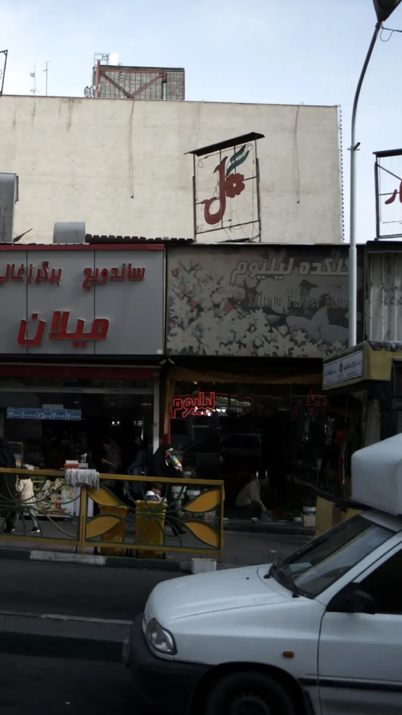 گلفروشی السترومریا