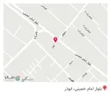 روغن کشی ققنوس