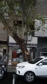 فروشگاه آکروپل تهران