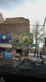 دنیای پرندگان جورواجور