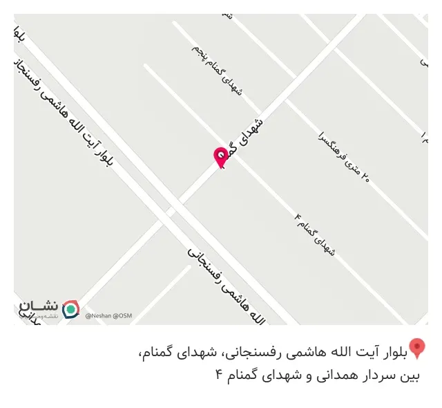 املاک رسمی حسنی