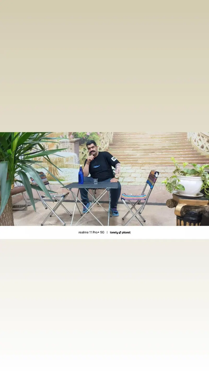 باغ پاشایی