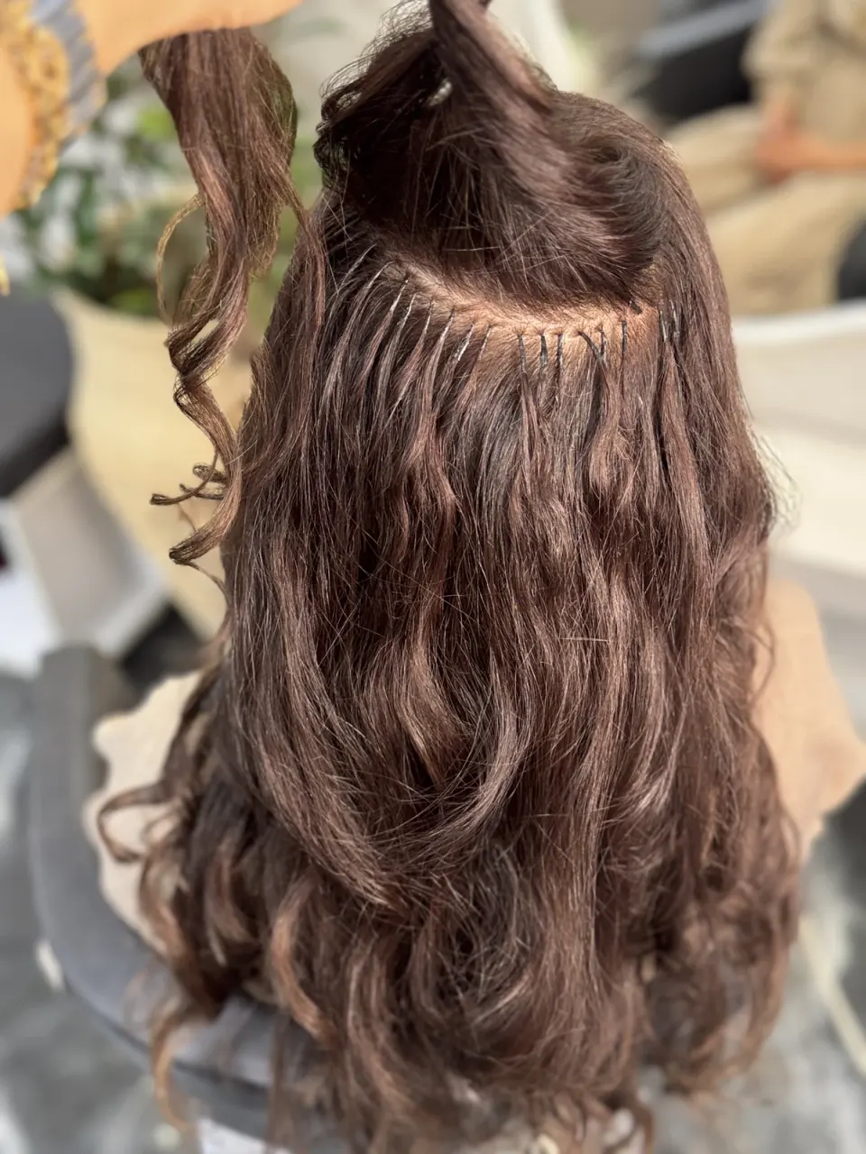 سالن زیبایی مصی