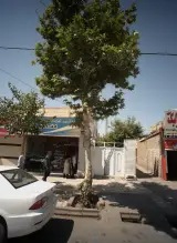 مشاورین املاک مسلم