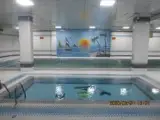 استخر آماتیس
