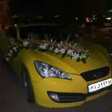 اجاره خودرو کیان گشت