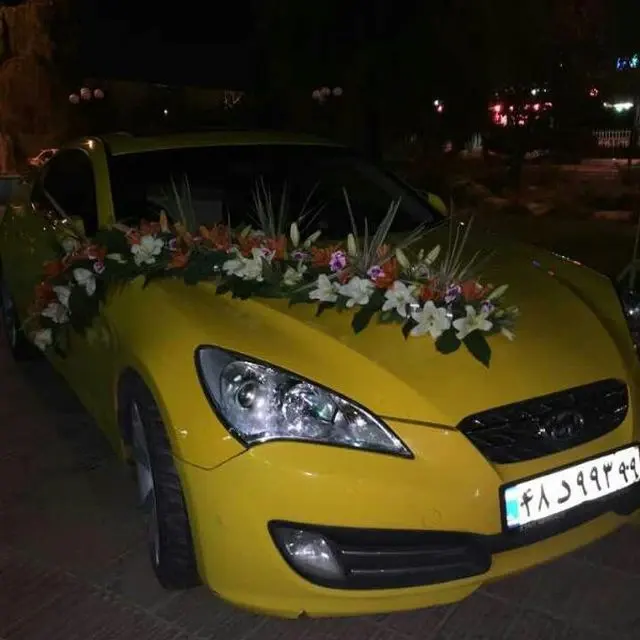 اجاره خودرو کیان گشت