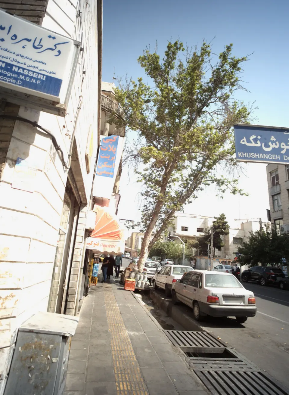 دکتر طاهره امین ناصری
