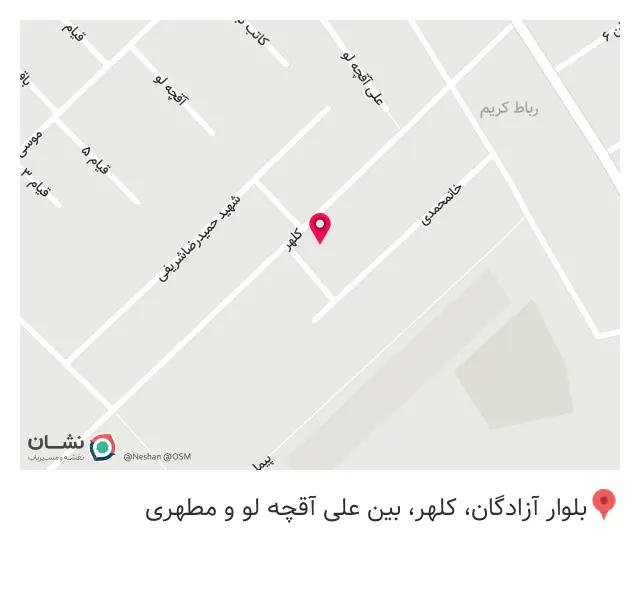پوشاک دلاریس