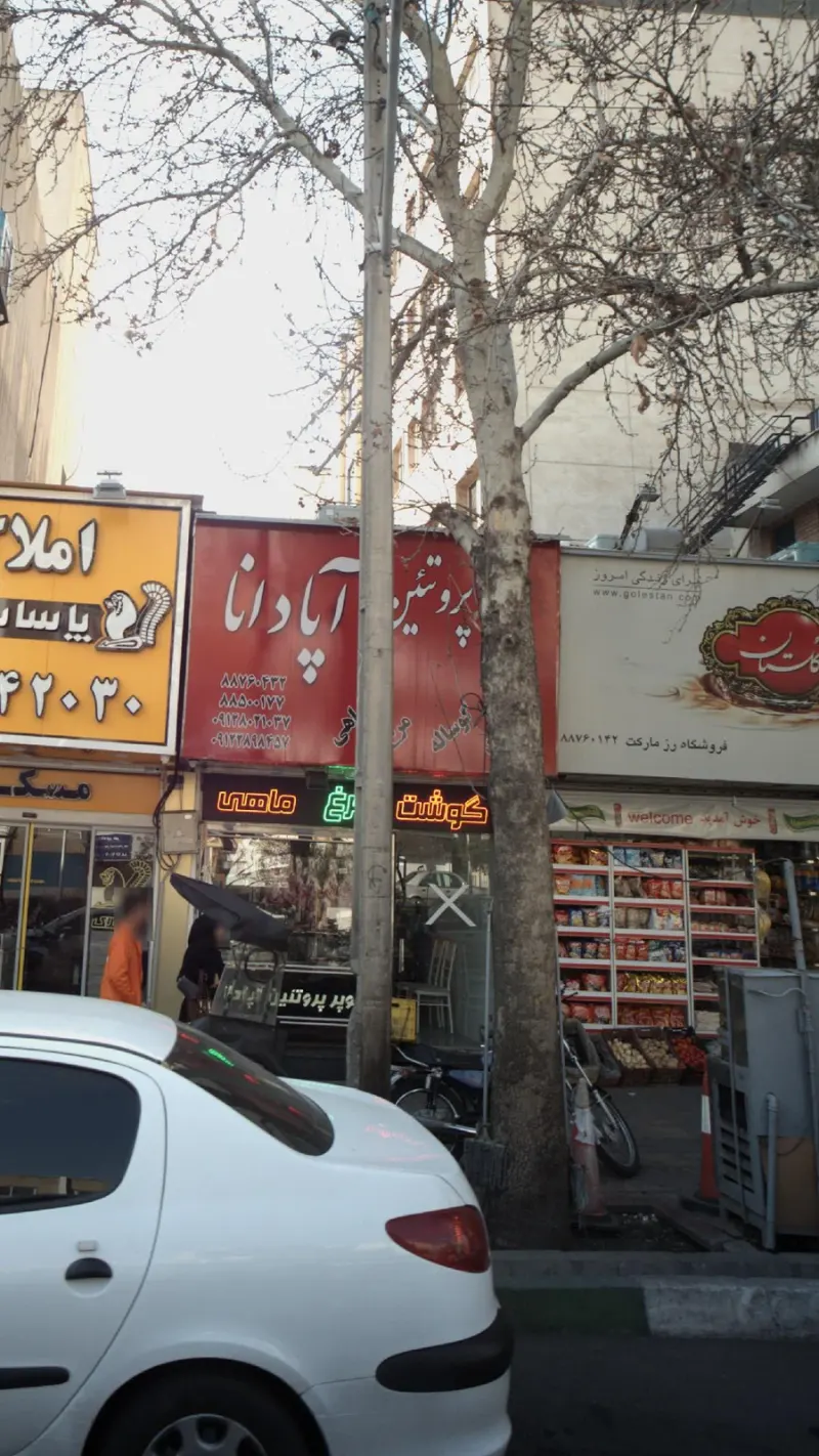 پروتئین مرتضی