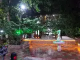 باغچه سرو نقره ای (سعید بهبودی)