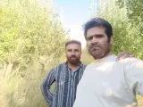 میوه 110یاسوج