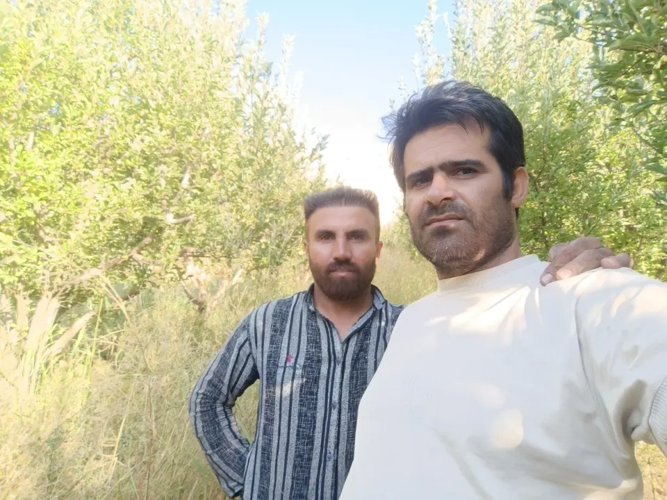 میوه 110یاسوج