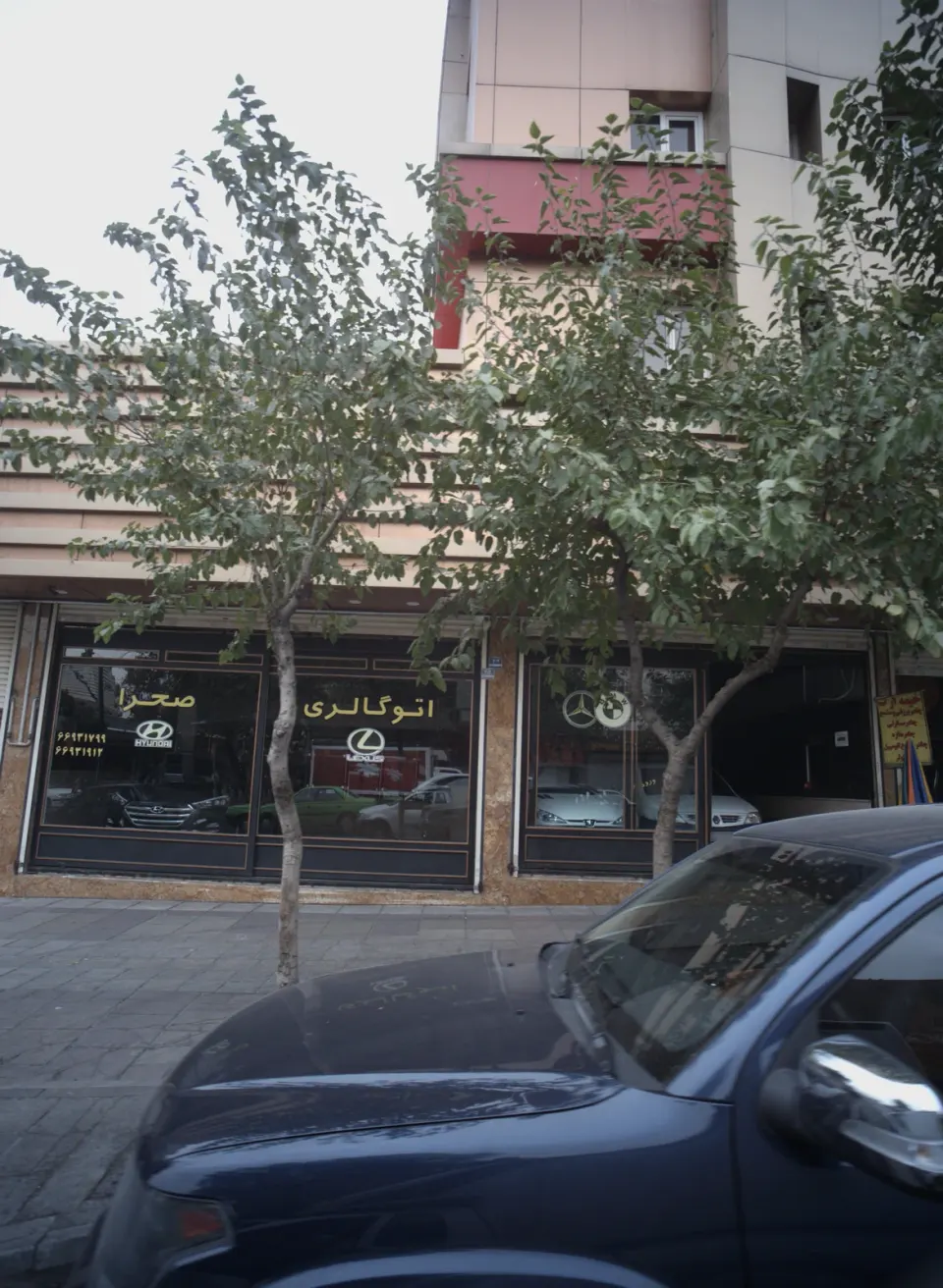اتوگالری صحرا