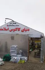 گلستان کیان دنیای کاکتوس