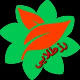 رز طلایی