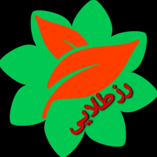 رز طلایی