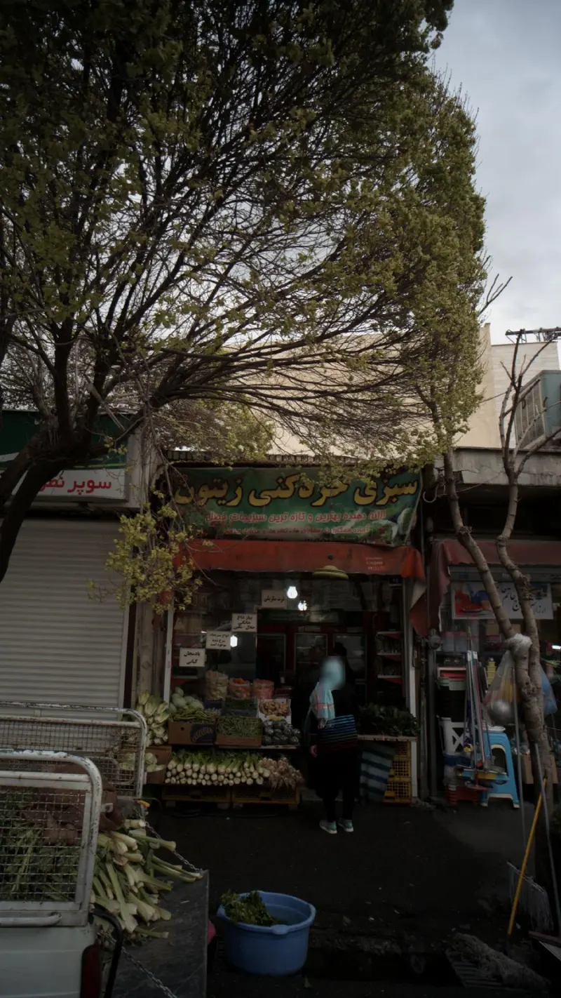 سبزی خردکنی زیتون