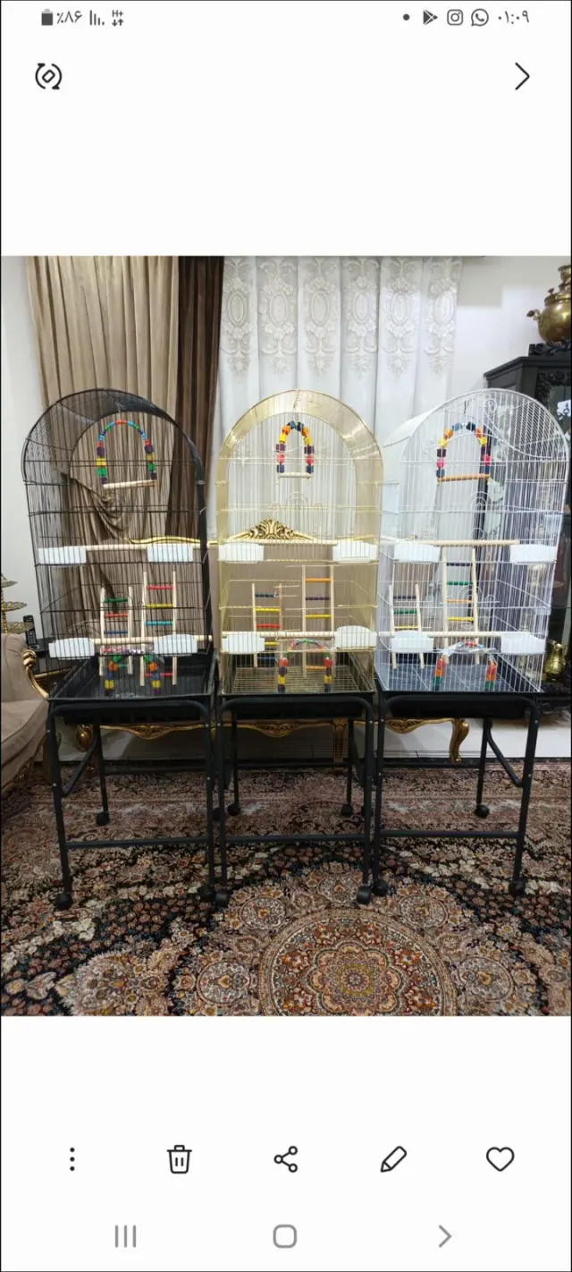 فروش قفس پرنده